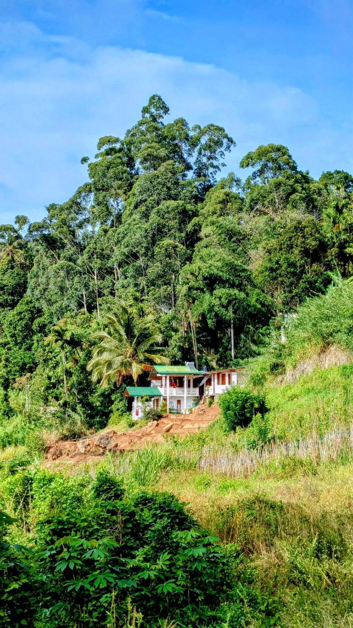 New Farmers Paradise Ella Extérieur photo