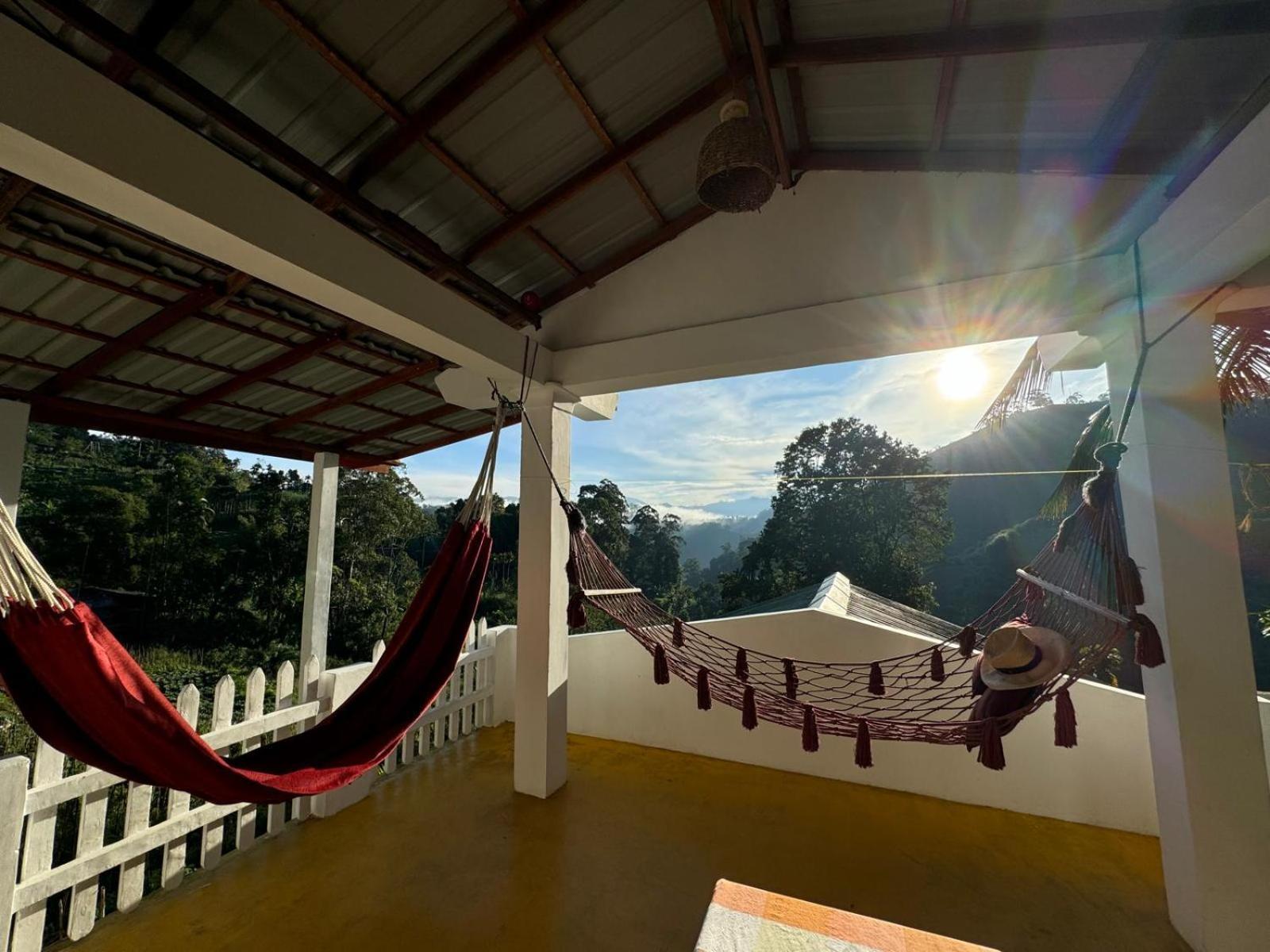 New Farmers Paradise Ella Chambre photo