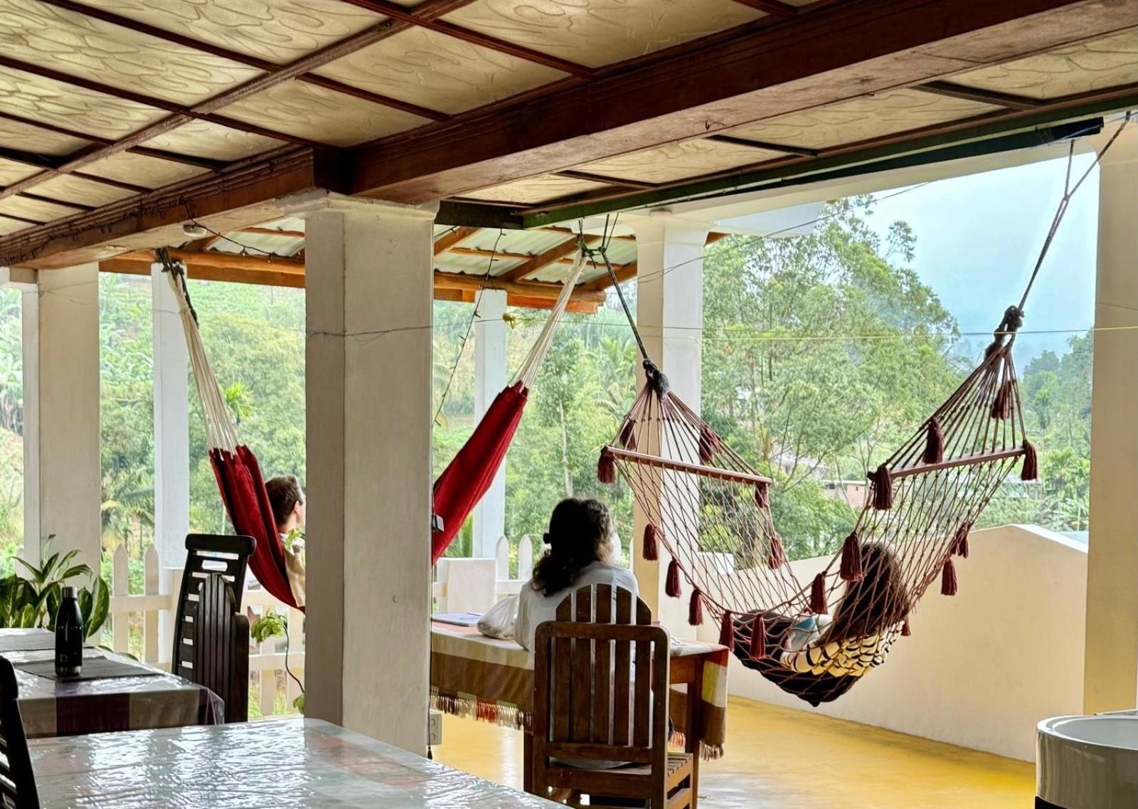 New Farmers Paradise Ella Extérieur photo