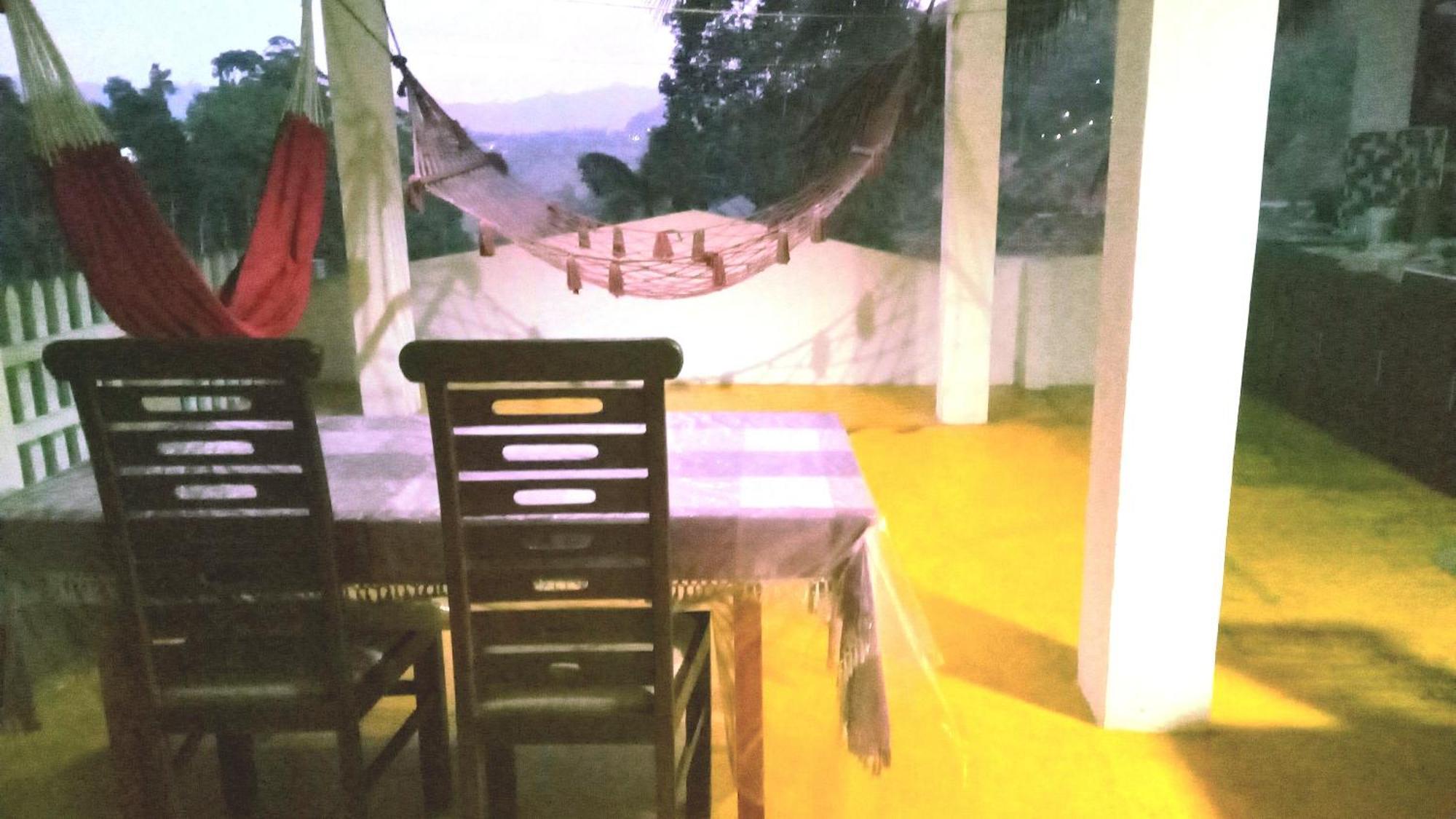 New Farmers Paradise Ella Chambre photo